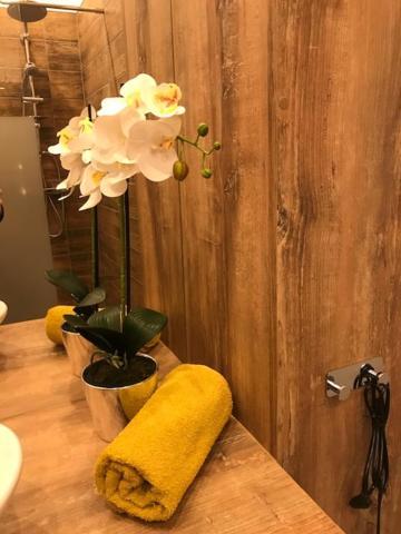 Apartament Gosia Νίσα Εξωτερικό φωτογραφία